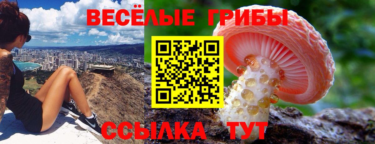 Конаково  Галлюциногенные грибы ЛСД  Псилоцибиновые грибы Psilocybe  хочу наркоту  Вход с VPN 