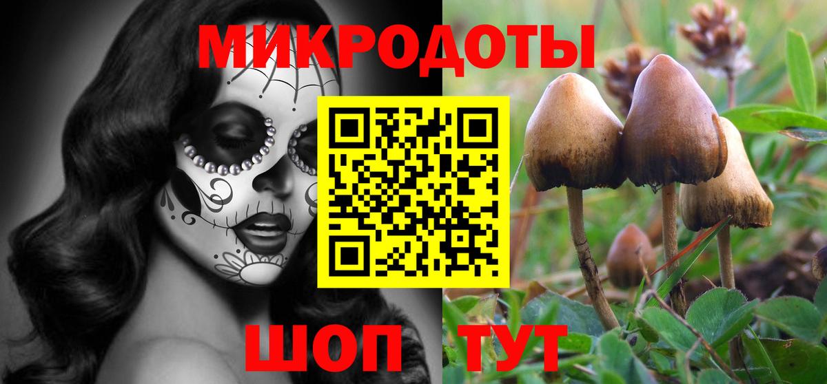 Псилоцибиновые грибы мицелий Конаково